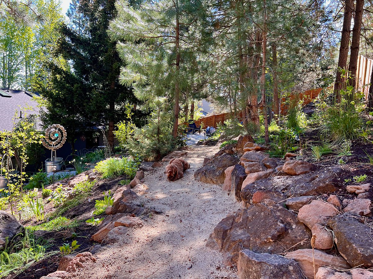 wide path in rock garden