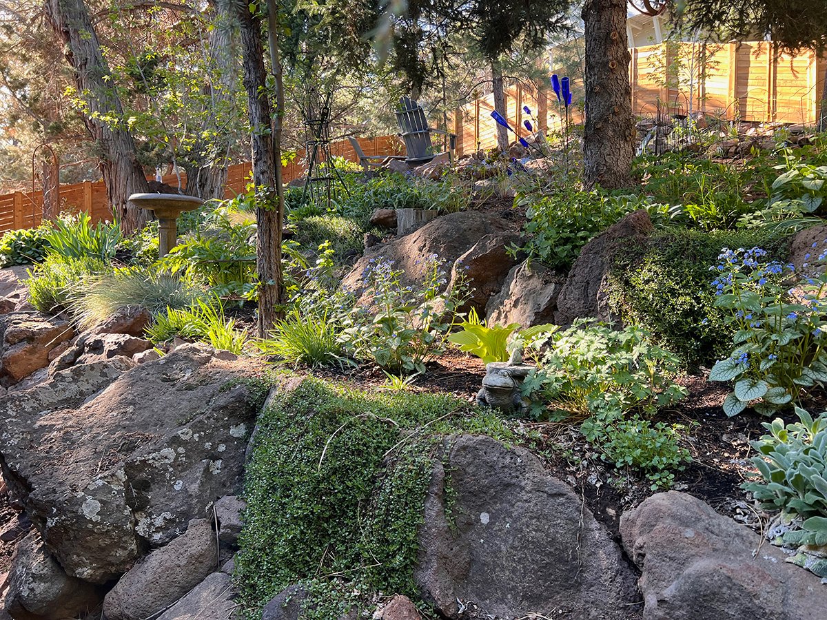 rock garden in spring