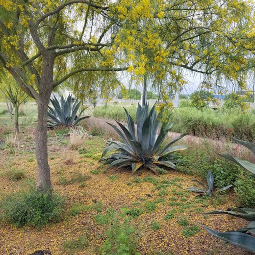 GPOD on the Road: South Texas Ecotourism Center