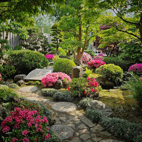 Ramon’s Japanese Style Garden in the Netherlands