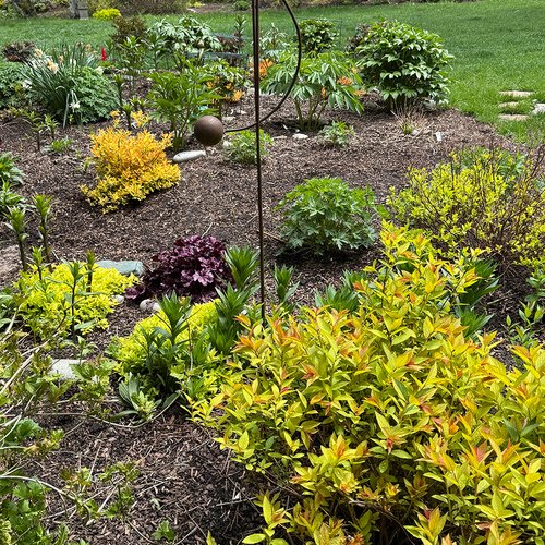 Susan’s Spring Garden at 5,500 Feet