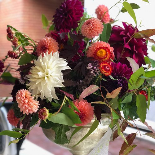 A Low-Stress Approach to Growing Dahlias in the Mid-Atlantic