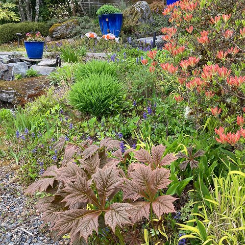 Cleo’s Spring Garden in Washington
