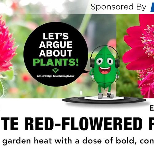 Episode 182: Favorite Plants with Red Flowers  