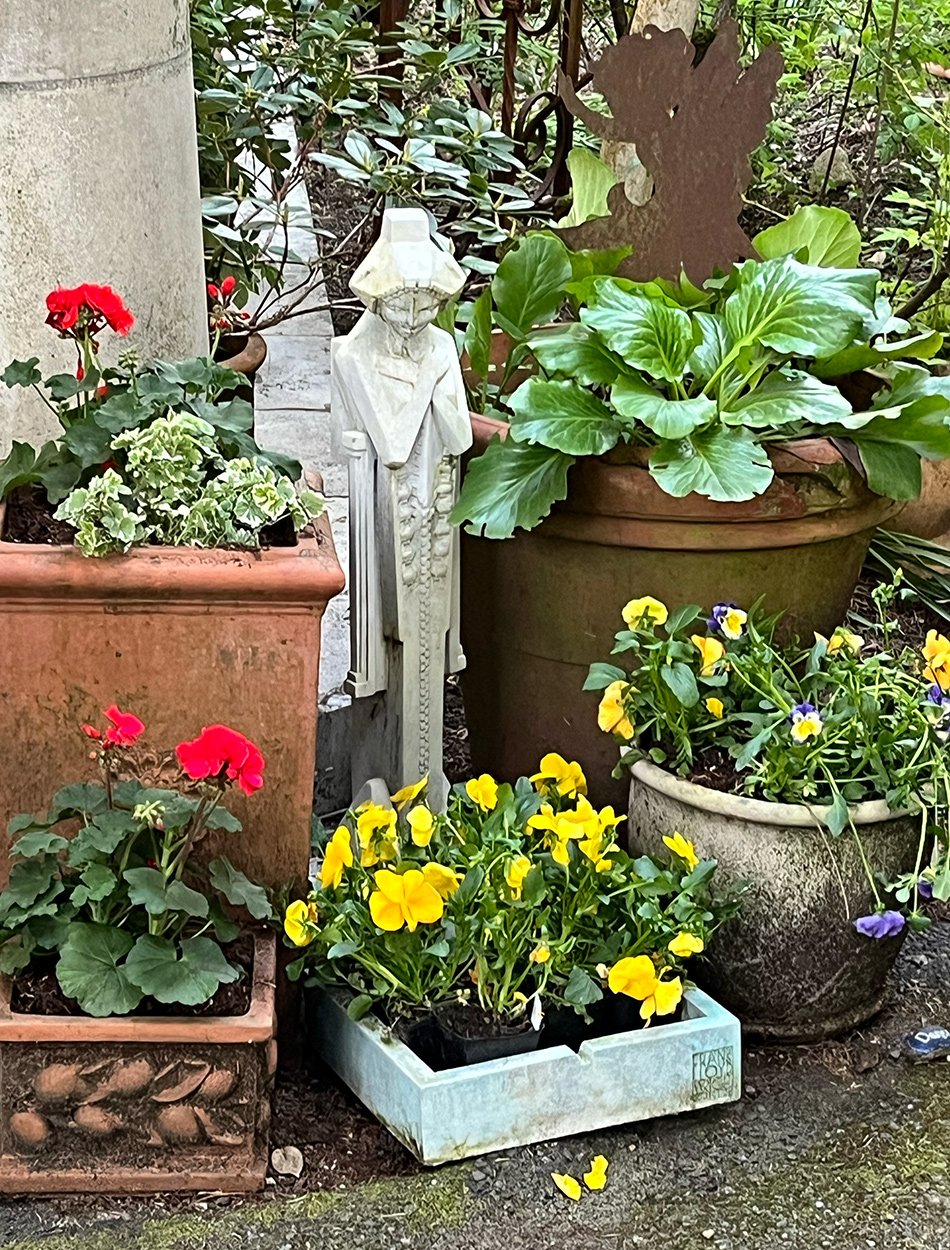 close up of colorful annuals in containers