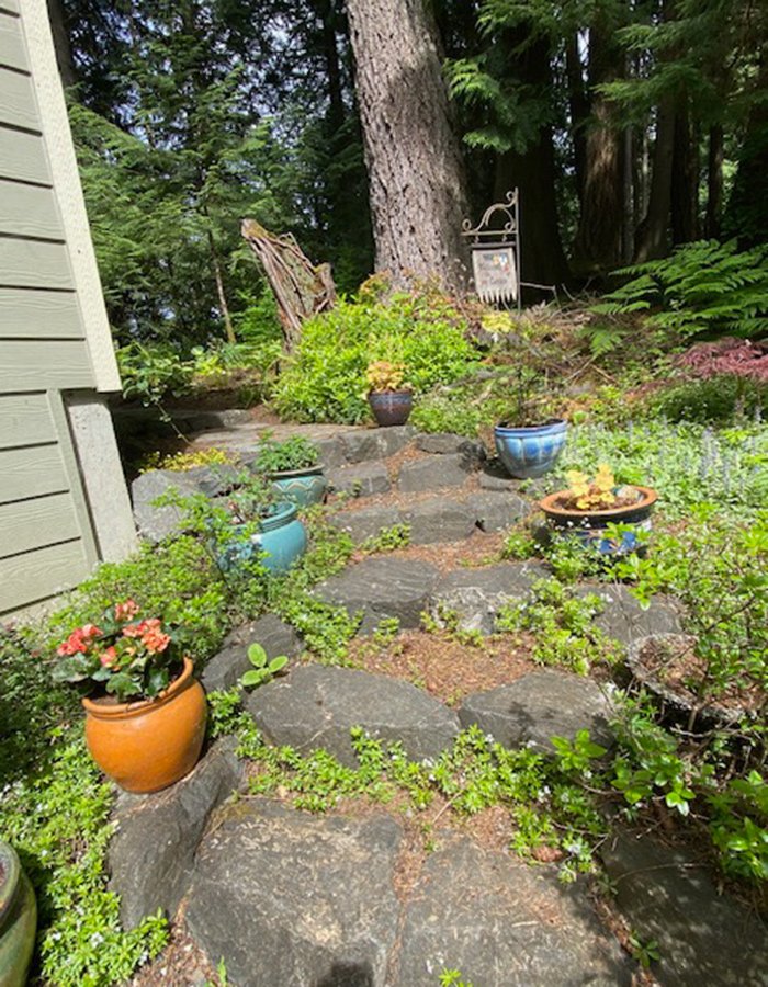 stone steps in woodland garden