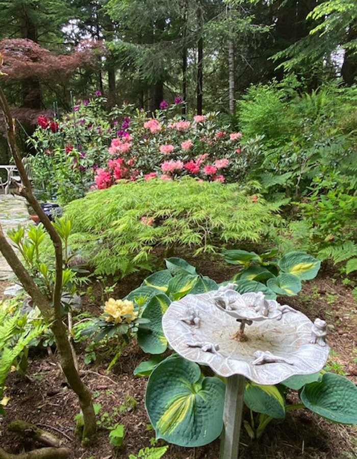 birdbath with flowering shrub behind