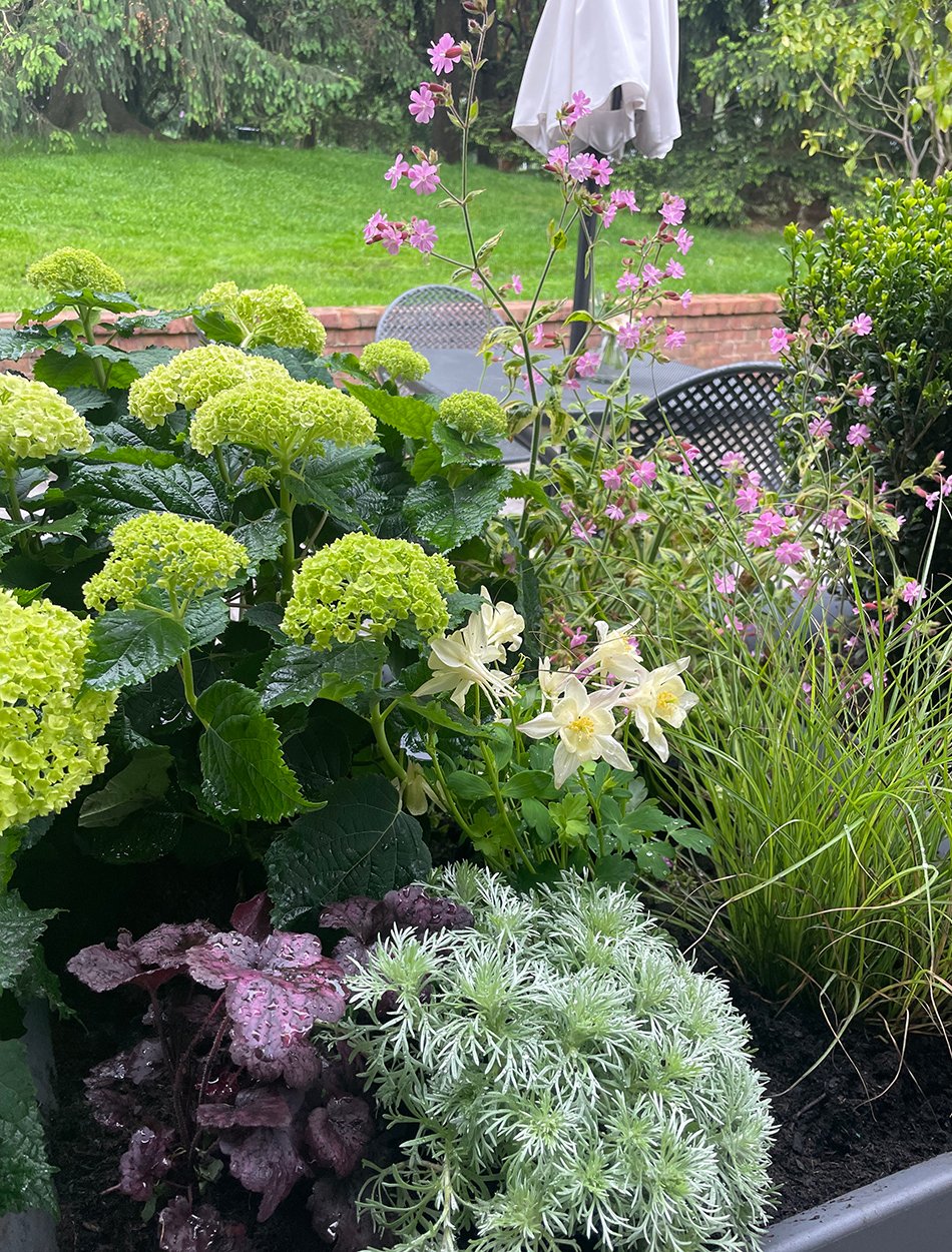 close up of container planting