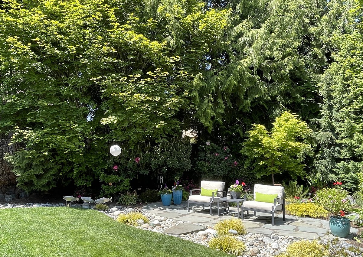 large berm of trees creating privacy and shade