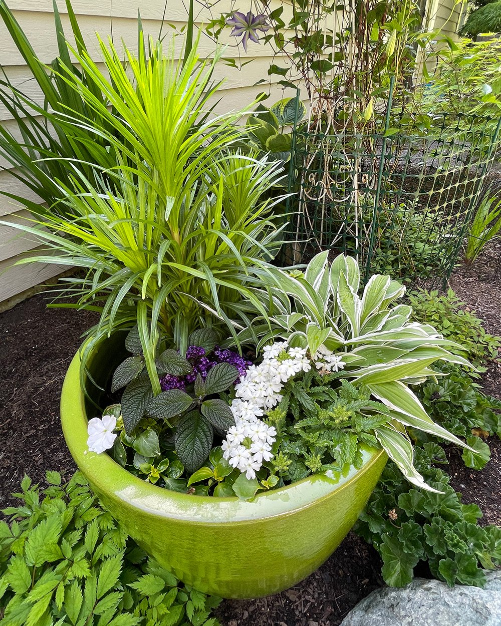 green pot full of green foliage plants and purple flowers