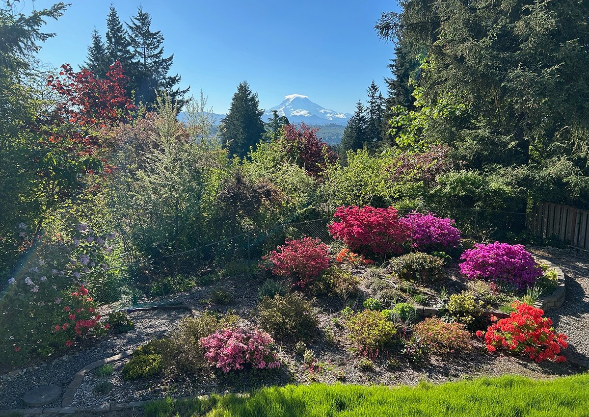 large garden bed with mountain peak in the background