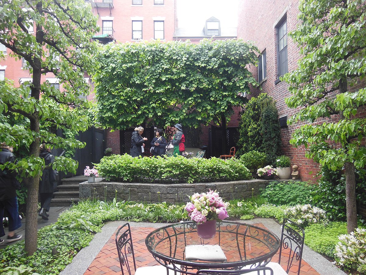 courtyard garden with lots of greenery