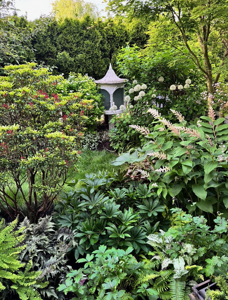 garden with lots of texture