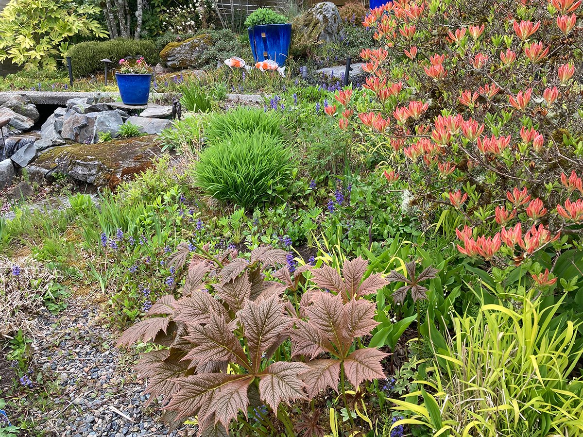 spring garden with red flowers and brown foliage