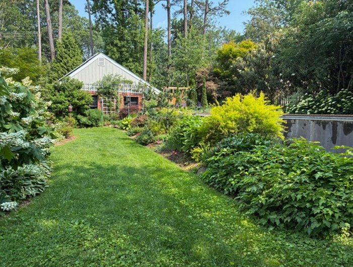 gardens in backyard