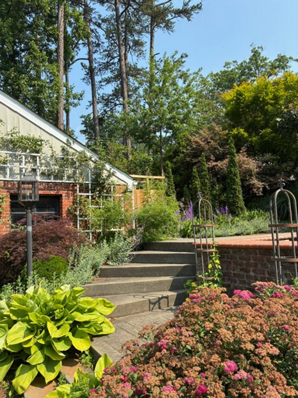 pool garden