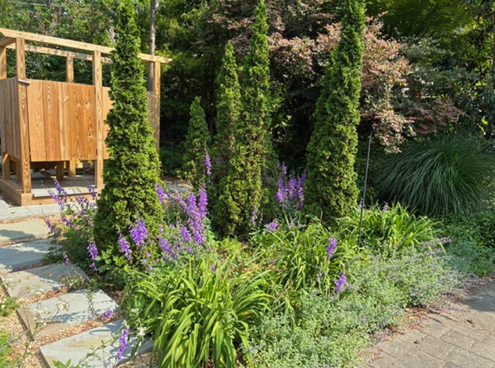 purple flowers outside outdoors shower