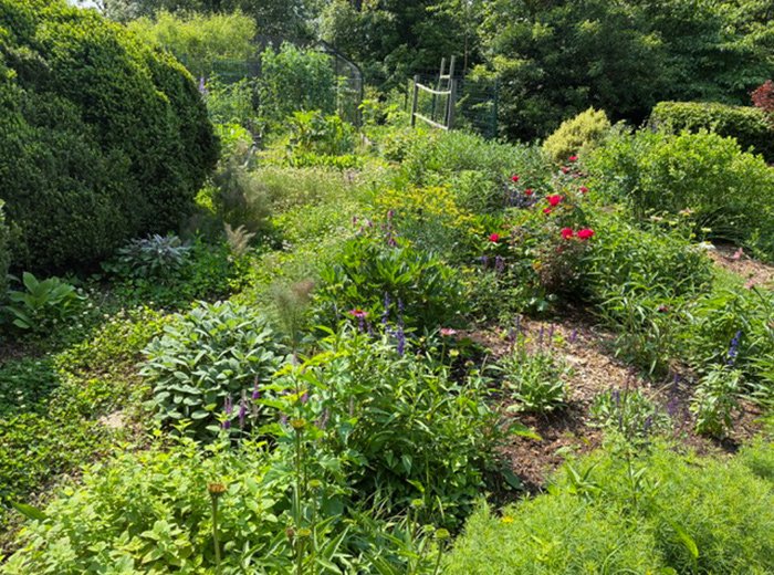 green garden beds