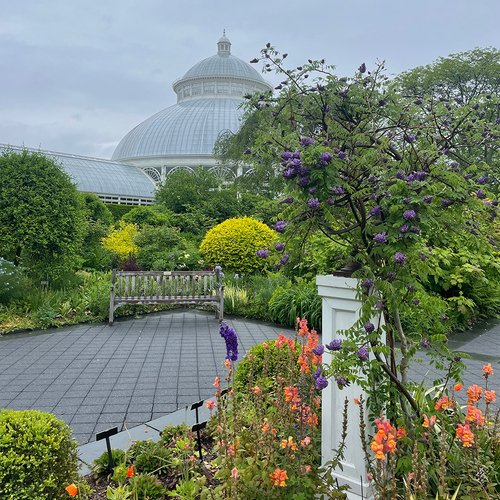 GPOD on the Road: New York Botanical Garden in Spring