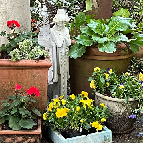 Heidi’s Pots, Plants, and Yard Art in Washington