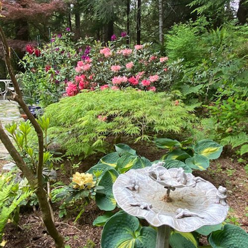 Linda’s Garden on a Mountain in the PNW