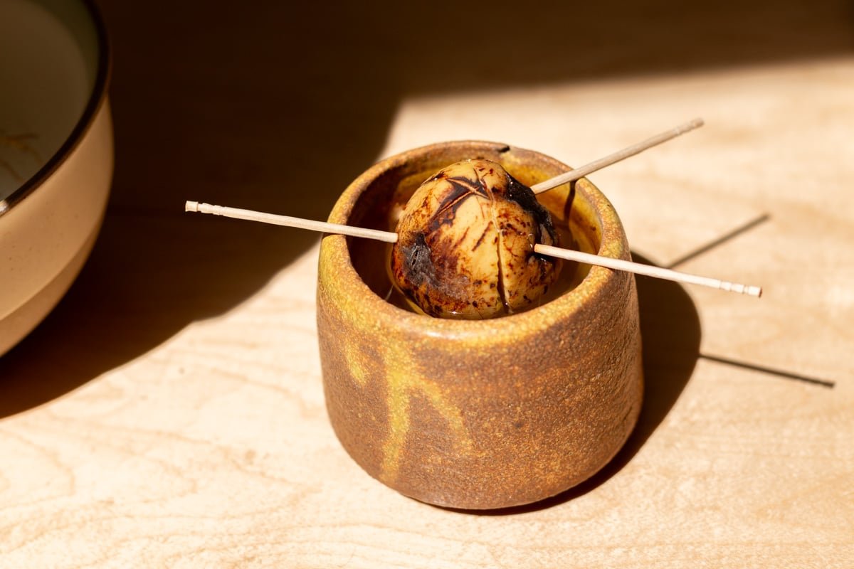 avocado pit being propagated in a small container of water