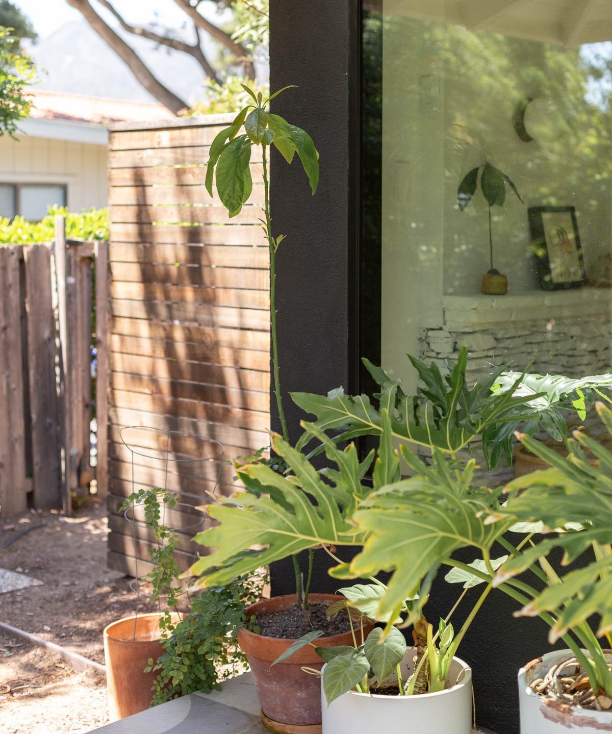 lush plants on a front porch with a black exterior 